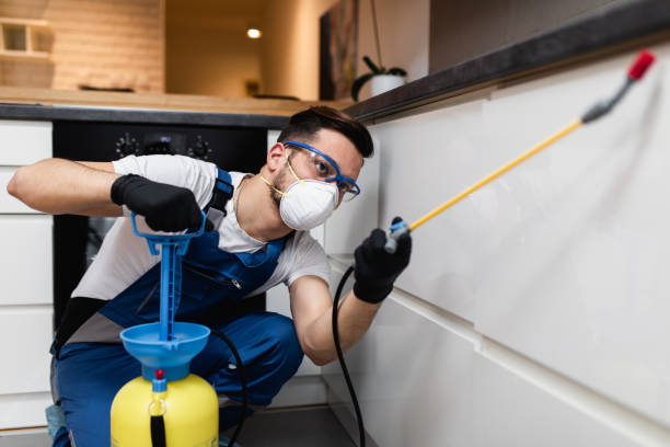 Best Affordable Pest Control Services  in Humansville, MO