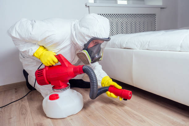Best Cockroach Control Services  in Humansville, MO