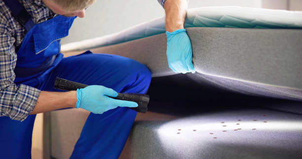 Best Mosquito Control Services  in Humansville, MO