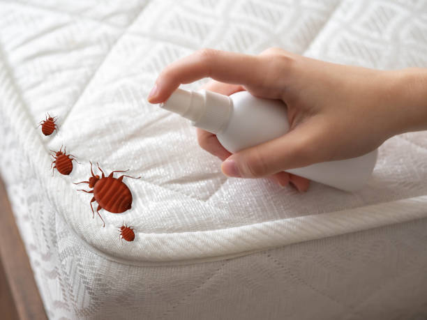 Best Exterminator Services  in Humansville, MO
